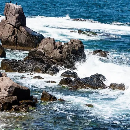 Gamartata Hotel Dyuni