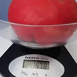 Gamartata فندق 2*