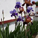 Gamartata فندق