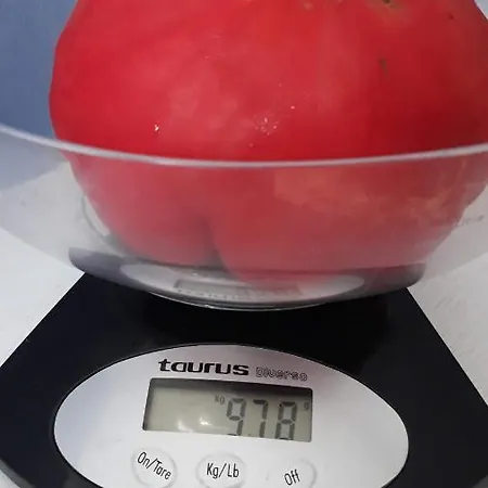 Gamartata 호텔 2*