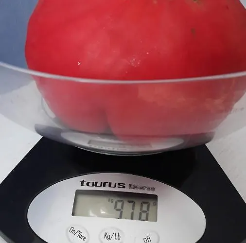 Gamartata ホテル 2*