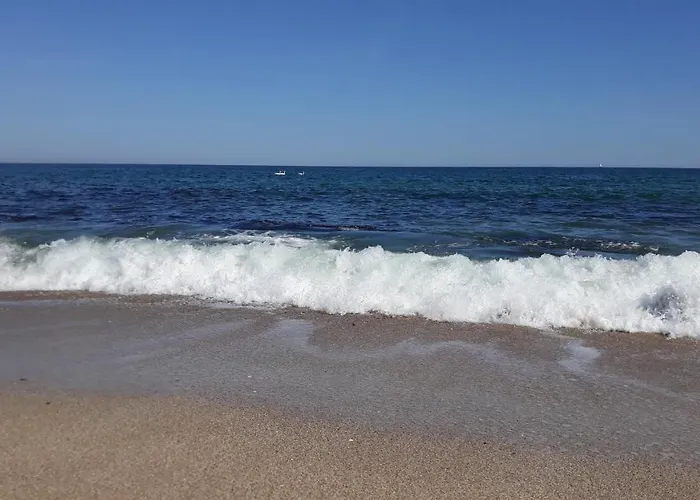 Gamartata デューニ