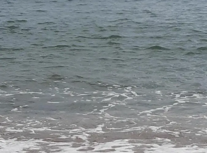 Gamartata ホテル デューニ